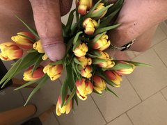 IMG_8022.JPEG