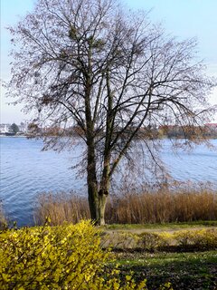 20200318_140928.jpg