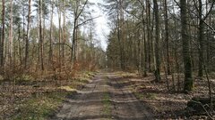 IMG_20200318_123845.jpg