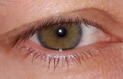 👁👁