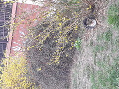 20200319_125334.jpg