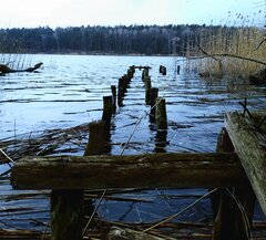 20200321_090039.jpg