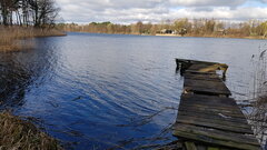 20200321_081201.jpg