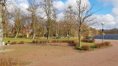 20200321_075629.jpg