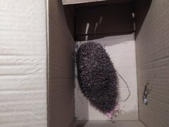 IMG_20200327_204908.jpg