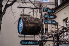 Winko 1
