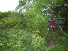 P6300048.JPG