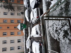 20200331_073648.jpg