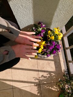 IMG_20200331_101144.jpg