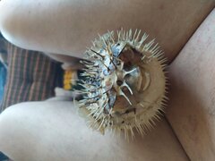 IMG_20200401_112933.jpg
