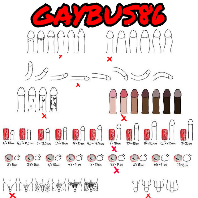 Gaybus86