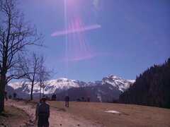 IMG_20170501_105448.jpg