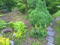WP_20180526_19_31_38_Rich_LI.jpg