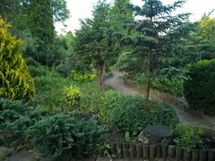 WP_20180530_20_05_30_Pro_LI.jpg
