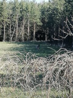 IMG_20200406_100944.jpg