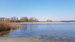 20200407_113259.jpg