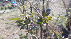 20200407_113329.jpg