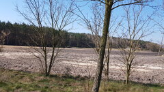 20200407_111708.jpg