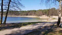 20200407_114231.jpg
