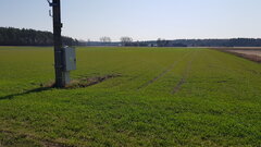 20200407_115753.jpg