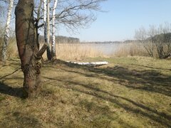 IMG_20200407_134501.jpg