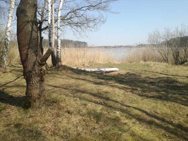 amadeusz100