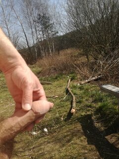 IMG_20200407_140028.jpg