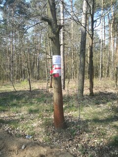 IMG_20200407_140958.jpg