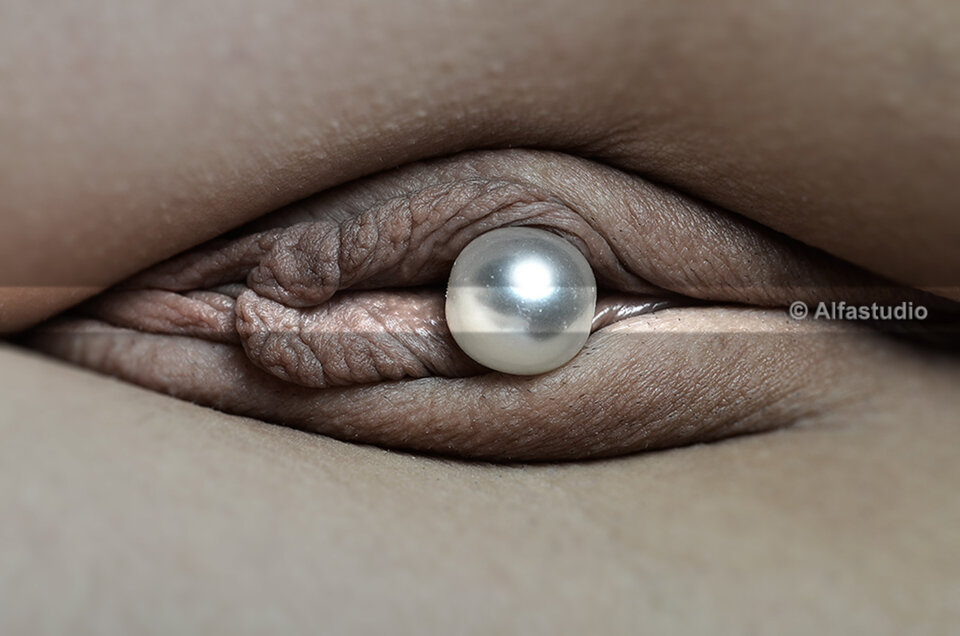 Pearl - Alfastudio