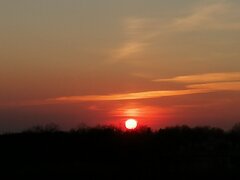 IMG_20200408_191620.jpg