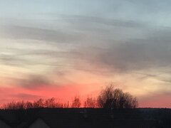 9F7A14C0-E99B-45E1-80E1-2173C077D7AB.jpeg