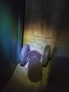 IMG_20200409_222337.jpg