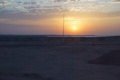 DSC01446.JPG