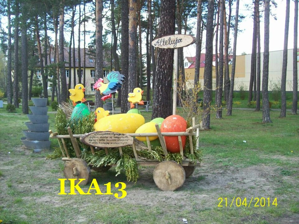 100_6477.jpg - ika13