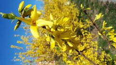 20200412_151927.jpg