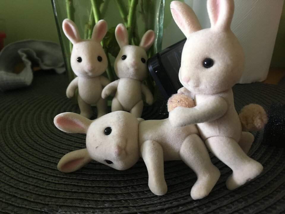 Rabbits 1 - NiespodziewanaPara