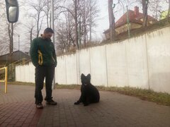 received_131642534848458 1.jpeg
