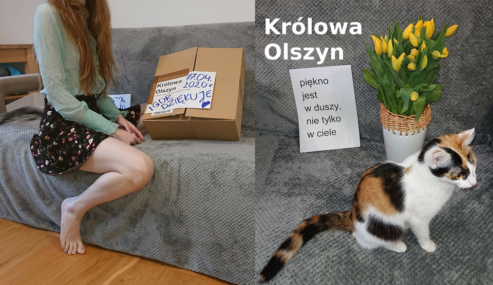 zlozenie KO.jpg - KrolowaOlszyn