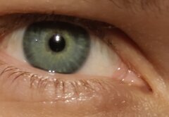 IMG_20200217_202125.jpg