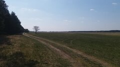 20200422_125711.jpg