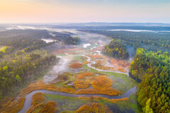 000A1SJZRFV4V68M-C321-F4.jpg