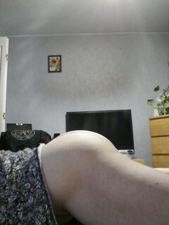 Lizaczek26