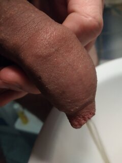 IMG_20200427_083023.jpg