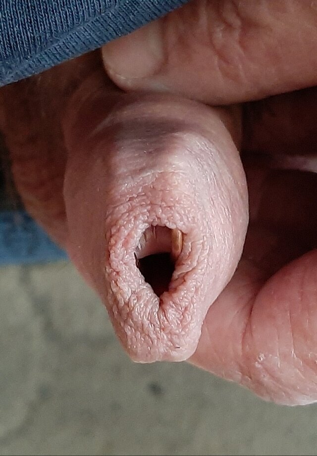 Jacencior