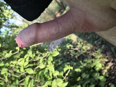 IMG_20200428_075414.jpg