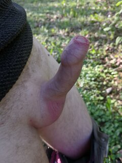 IMG_20200428_075451.jpg