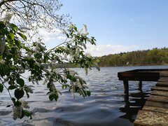 20200428_140834.jpg