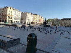 IMG_20200423_171217.jpg