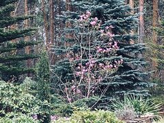 IMG_5148.JPG