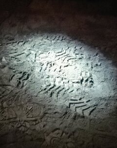 IMG_20180909_131105~2.jpg